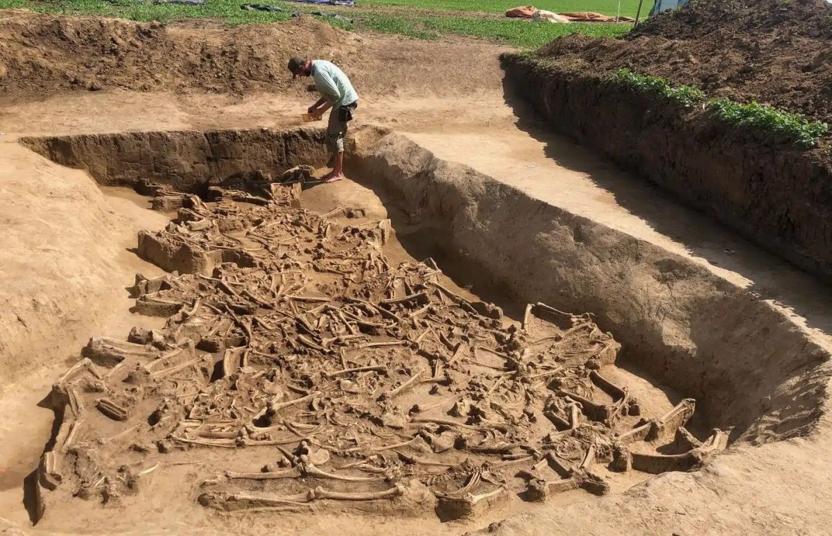 slovacchia,-archeologi-indagano-su-38-scheletri-decapitati-in-una-fossa-comune