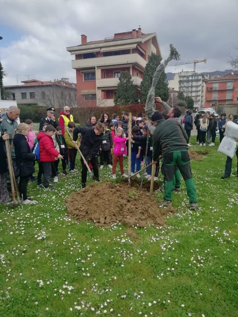 ambiente,-celebrata-stamattina-la-festa-degli-alberi-al-parco-del-millenario-di-sansepolcro-–-toscana-news